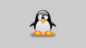 Linux'ta Node.js Nasıl Kurulur?