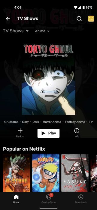 Netflix anime uygulamasi